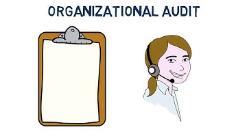 What Is an Organizational Audit?