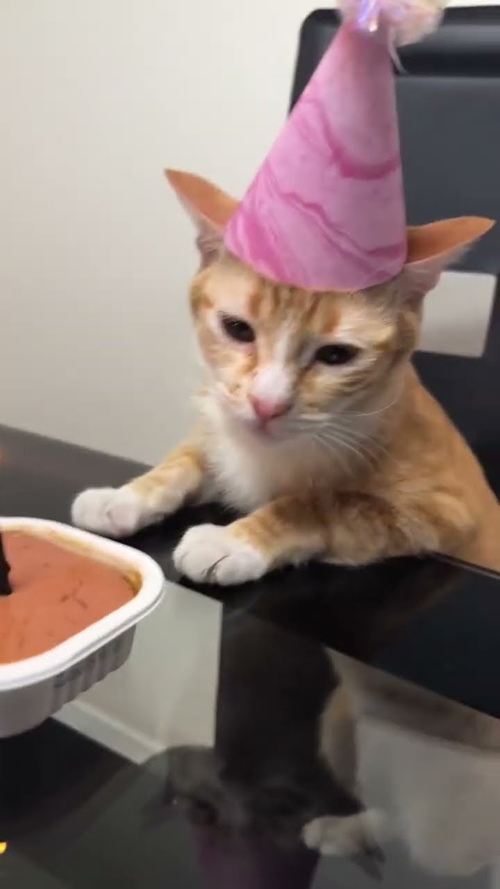 Today's my birthday, I feel very sad because no one wished me ?