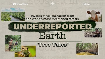 New Series - Underreported Earth: "Tree Tales"