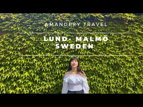 Video: Cách đi từ Stockholm đến Malmo