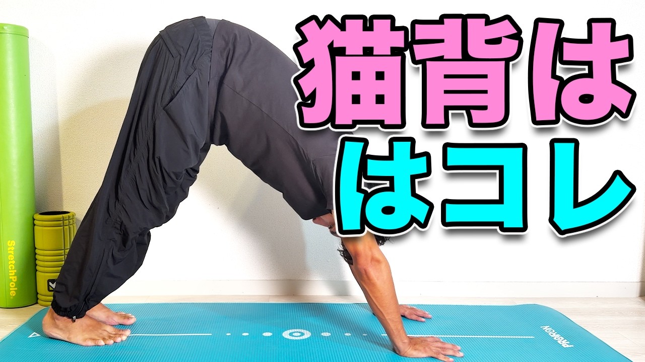 猫背はコレ！】猫背はコレ！1日3分で姿勢リセット！Got a Hunched Back