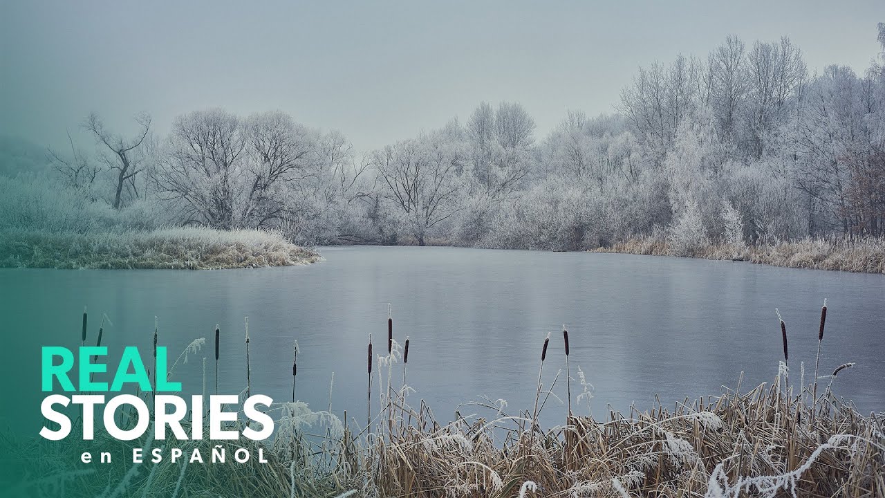 Sobreviviendo a la Congelación: Dos Hermanos Luchando por Salvar su Vida
