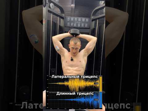 Трицепс по науке.За персональным планом обращаться в телеграм:@TrainerSmirnoVV