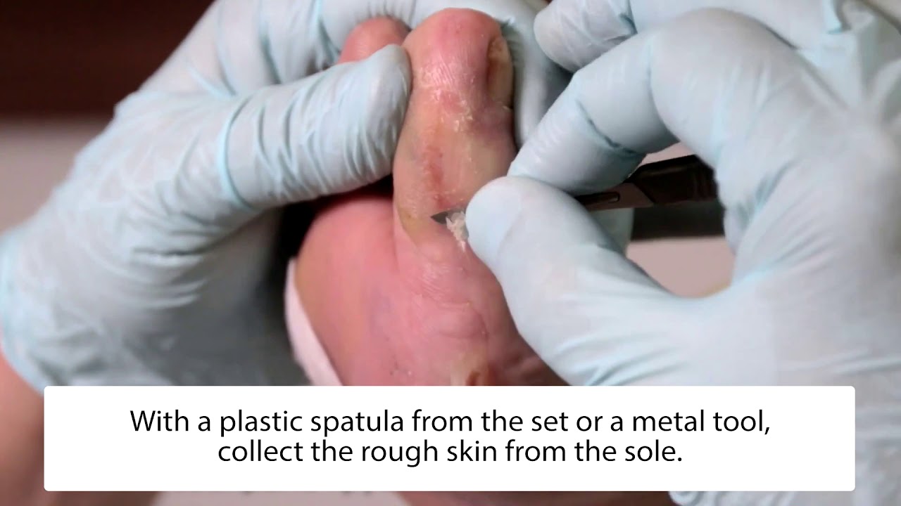 royal blue handbolsas