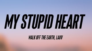 My Stupid Heart - Walk Off The Earth, Lauv (Lyrics Video) 🏕