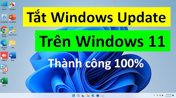 HƯỚNG DẪN TẮT WINDOWS UPDATE TRÊN WIN 11
