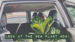 Tour 18: Plant shopping at big box stores. Ikea, Lowe's, and some thrift shopping!