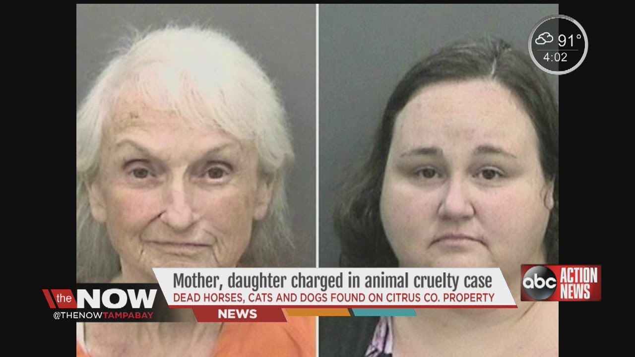 citrus county animal cruelty case - YouTube