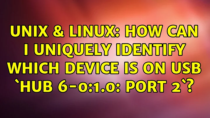 Unix & Linux: How can I uniquely identify which device is on USB `hub 6-0:1.0: port 2`?