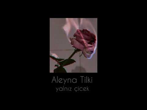 aleyna tilki - yalnız çiçek (slowed + reverb)