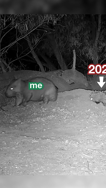 Cya 2024! 🏃‍♂️💨