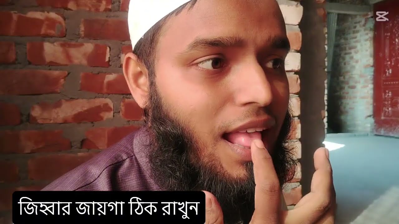 Arabic Alphabet (Alif to Haa) Step by Step | আলিফ থেকে হা শিখুন | Quran Reading for Beginners
