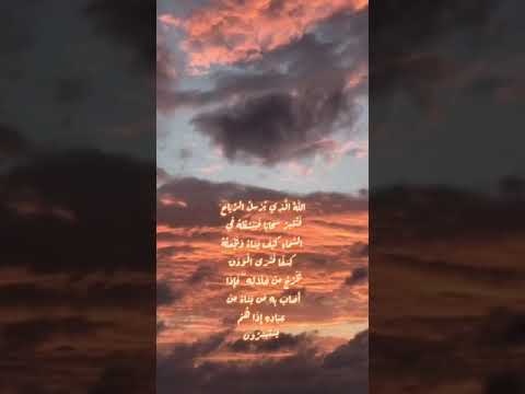 الله الذي يرسل الرياح سورة الروم بدر التركي
