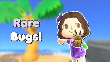 How to catch RARE BUGS in Animal Crossing