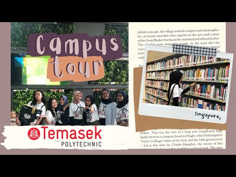 Temasek Polytechnic Singapore – Exchange Student