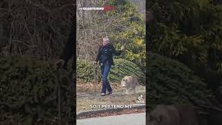 Trump Display Sends Neighbor With Severe TDS Over The Edge #Trump #TDS #Neighbors #Triggered