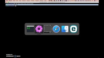 DMPRoadmap v2.0.0 DataCleanup