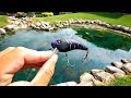 Unlikely Fishing Lure catches BIG Pond Bass!!!