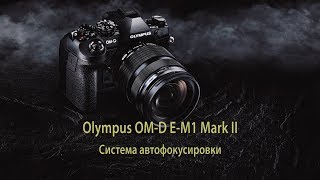 видео: Olympus OM-D E-M1 Mark II - система автофокусировки картинка: Olympus OM-D E-M1 Mark II - система автофокусировки
