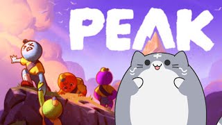 PEAK　何故山に登るかだって？そこに山があるからさ＃１