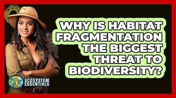 Why Is Habitat Fragmentation The Biggest Threat To Biodiversity? - Ecosystem Essentials