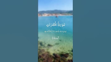 Al Quran|surah al hujurat ayat 11|سورة الحجرات|
