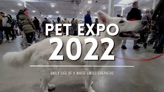 White Swiss Shepherd Momo visits pet expo 2022