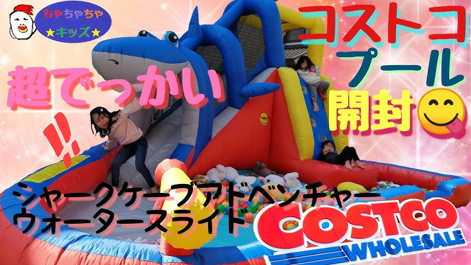 2歳児の ピーナッツの食べ方 Shorts Youtube 2歳児の ピーナッツの食べ方 Shorts Youtube