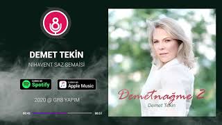 Nihavend Saz Semaisi - Demetnağme 2 - Demet Tekin Resimi