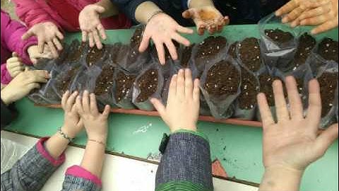 Kizoa Video Editor - Movie Maker: an eTwinning project: Preserve and spread of traditional plants a