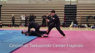 Hapkido Testing Summer 2018