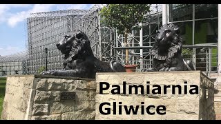 Palmiarnia Gliwice #30