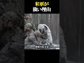 米軍が強い理由
