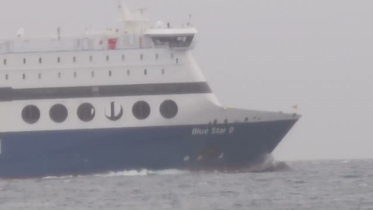 Άφιξη blue star 2  29/1/2026 μερος 2