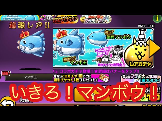 にゃんこ大戦争 生きろ マンボウ ガチャ 初回限定半額でマンボ王が出たよー 超激レア Youtube