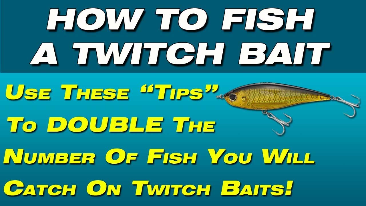 How To Fish A Twitch Bait - Tips To Fish A Twitch bait from a pro. Catch  more fish on twitch baits 