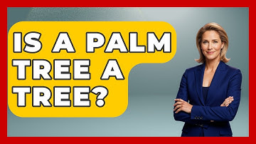Is A Palm Tree A Tree? - The Plant Enthusiast