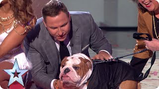 The Judges meet their dog-a-likes | Semi-Final 3 | Britain's Got Talent 2015