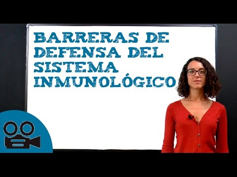 Vídeo: Què és un sistema de barreres de seguretat?