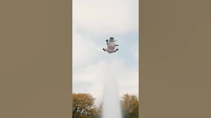 I am Pibble - Wash my Belly #soraai #funny #shorts #sora #pibble