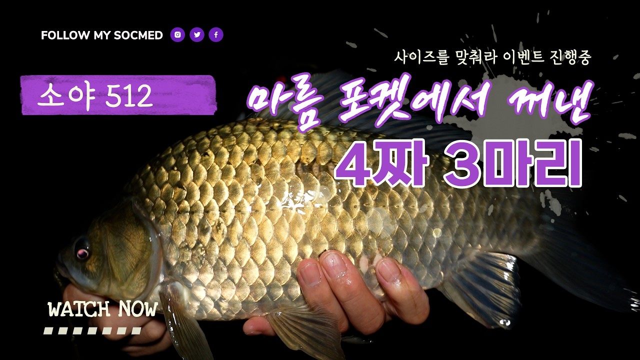 하룻밤에 4짜 3마리! 마름 포켓에 대물이 살고 있다