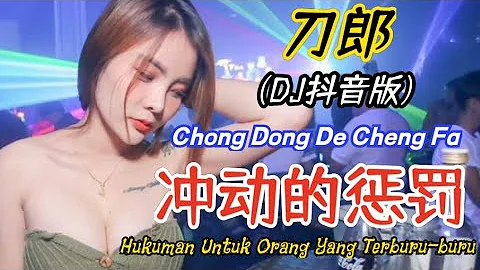 刀郎 - 冲动的惩罚 (DJ抖音版) Chong Dong De Cheng Fa【Hukuman Untuk Orang Yang Terburu-buru】Terjemahan Indonesia - 天天要闻