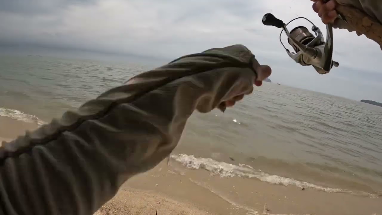 马来西亚钓行:沙滩钓鱼