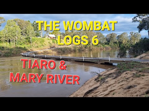 The Wombat Logs 6- TIARO & THE MARY RIVER