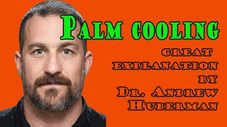 Palm cooling explained by Dr.Andrew Huberman Wealth