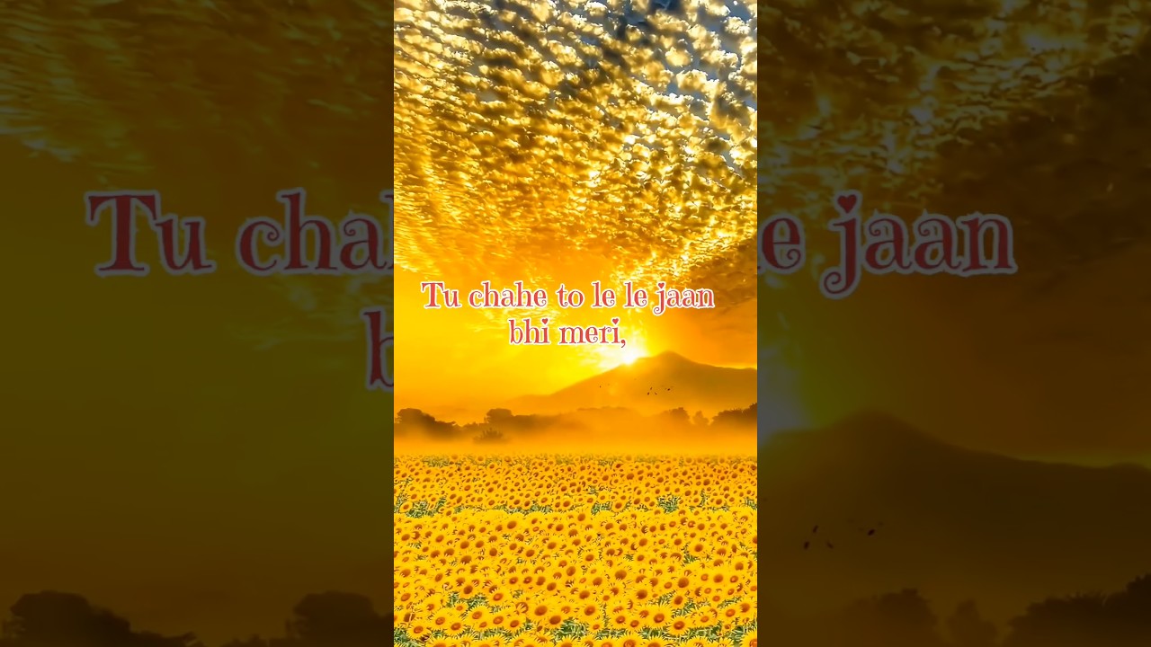 Tu Hi Mera HumduM | sad song reelsl |