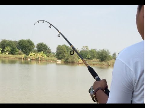 Fishing Cambodia at Prek Doung resort, Sangkat Prekpra about 1kilo from  road 