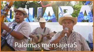 Los Tremendos de Puruarán  -  Palomas mensajeras (Música de cuerda)