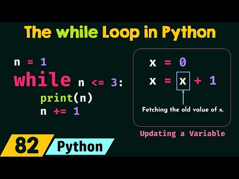 The Basics of while Loop in Python