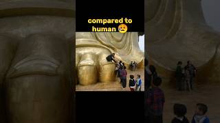 Things that are bigger than you think ?? shorts viral trending buddha people